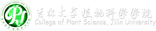 新葡的京集团350vip8888官网